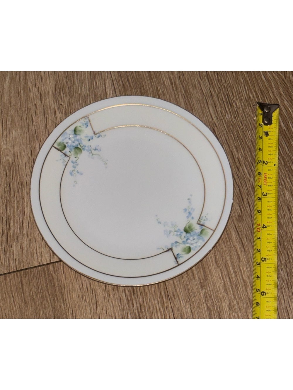 Antique Favorite Bavaria Hand Painted Floral Porcelain Plate 6.5